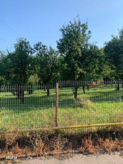 Vant teren Curtea de Arges - 3