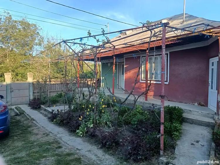 A 13. 20000 mp teren ?i 3 constructii casa in judetul Bacau - 5