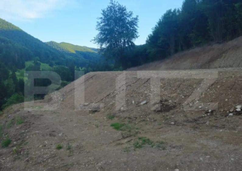 Teren de vanzare, 10.000 mp - Bistrita Bargaului, zona turis - 2