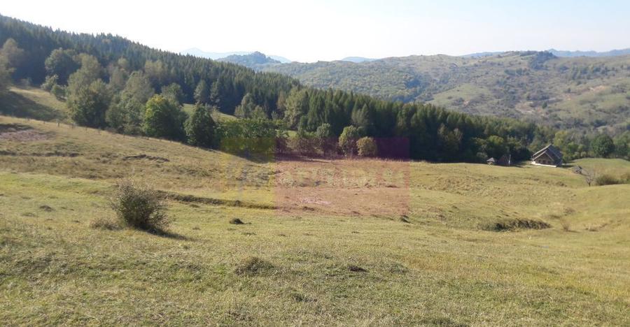 Teren intravilan de vanzare in Breaza (dezvoltare imobili... - 4