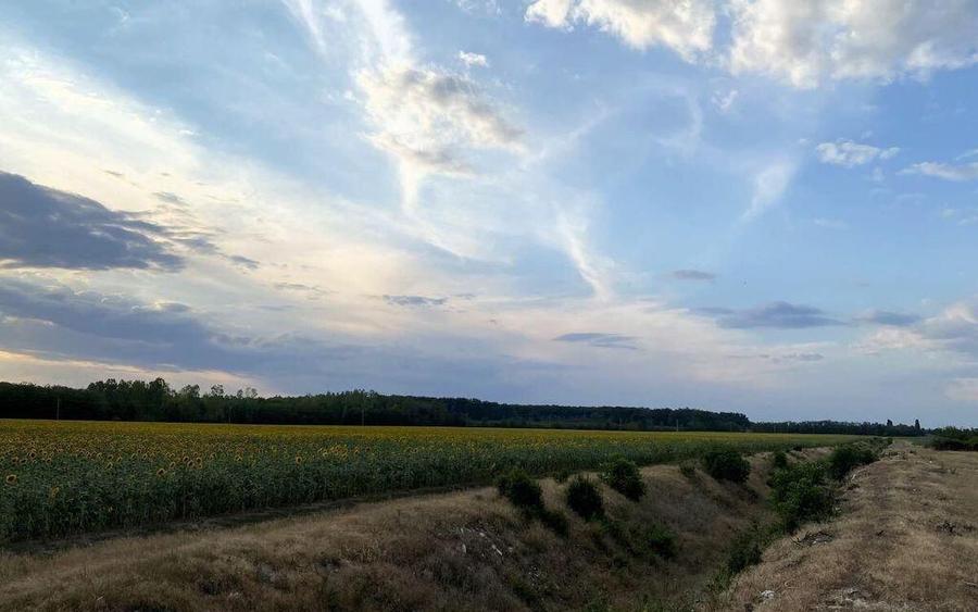 Tamasi, langa padure, 12.824 mp, deschidere 45 ml, teren ... - 5