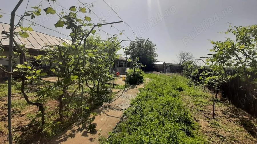 Casă cu 3 camere cu Teren 4000 Mp în Central