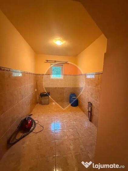 Casă cu 4 camere cu Teren 7700 Mp în Breb