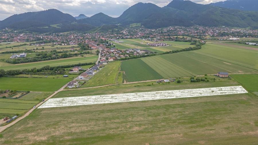 Teren agricol extravilan de 400 mp, în Turcheș