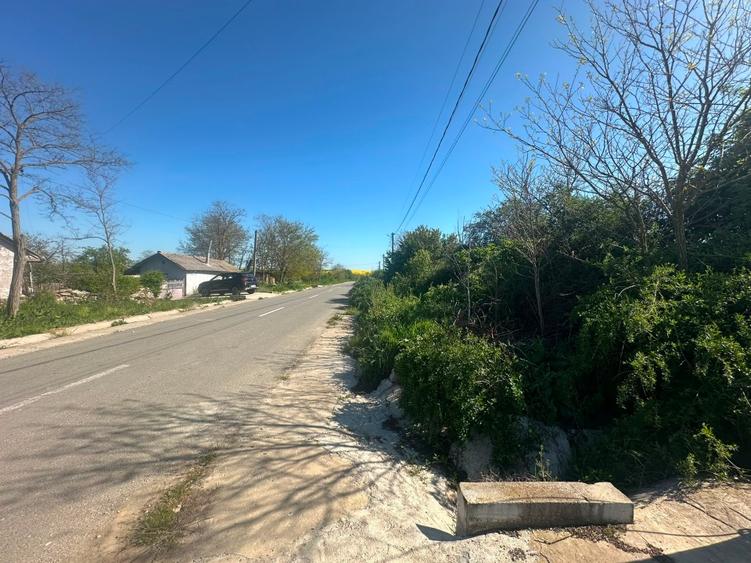 Teren Construcții intravilan de 2549 mp, în Plopeni