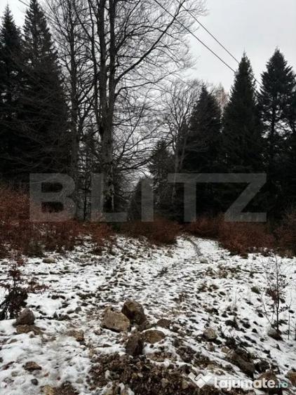 Teren de 4000 mp, în Calea Moroieni