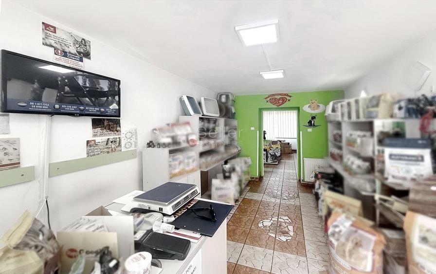 Apartament cu 3 camere semidecomandat în Județean
