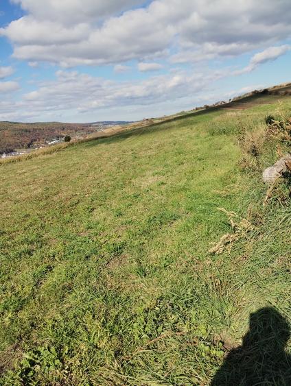 Teren agricol extravilan de 4600 mp, în Baciu