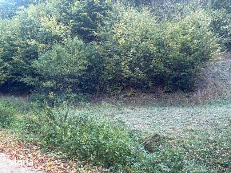 Teren de 8927 mp, în Holbav