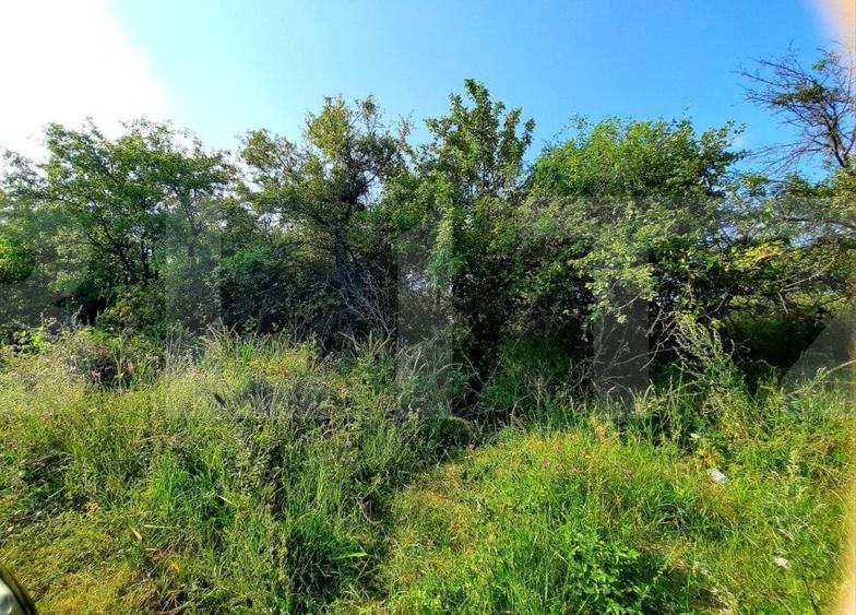 Teren Construcții intravilan de 3300 mp, în Feleacu