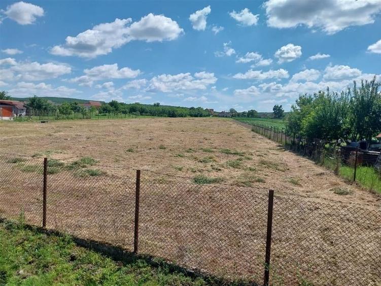 RECO teren intravilan in Felcheriu - 3