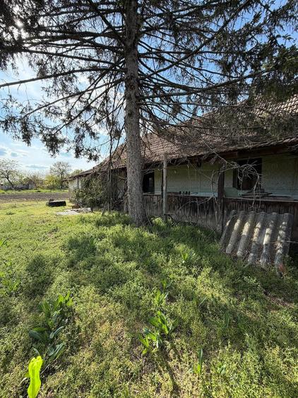 Vand casa in Dorobanti - 1