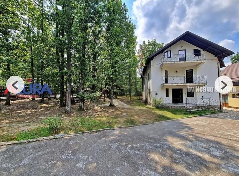 Casă de vacanță în pădure, 10 km de Pitești - Babana - 1