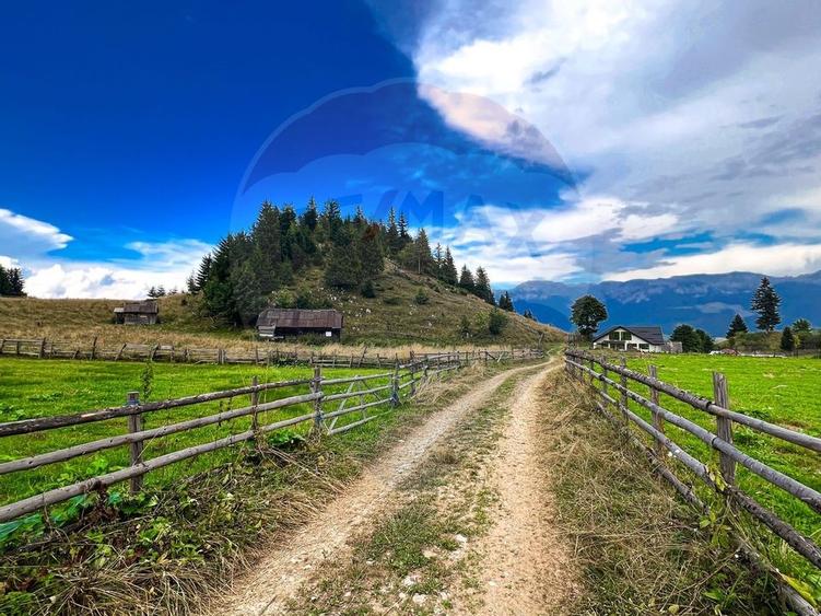 Teren de 7830mp de vanzare in Fundata! Comision 0% - 11