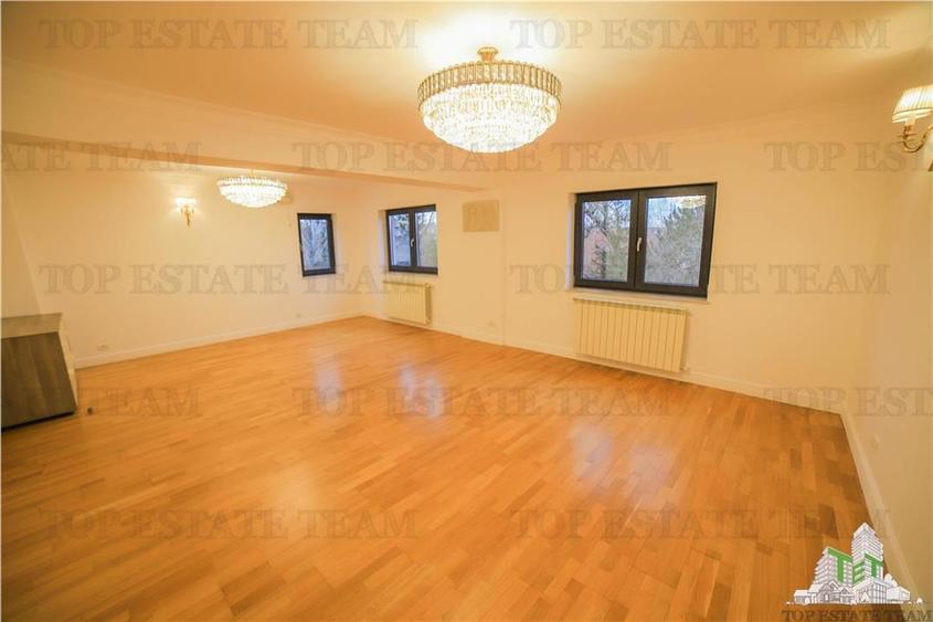 Vila pretabila rezidenta/office Iancu Nicolae - 17