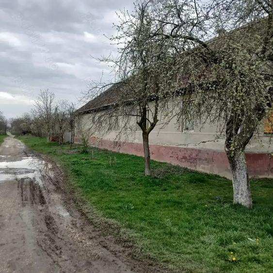 Casa si gradina de vanzare in Hitias la strada principala - 1