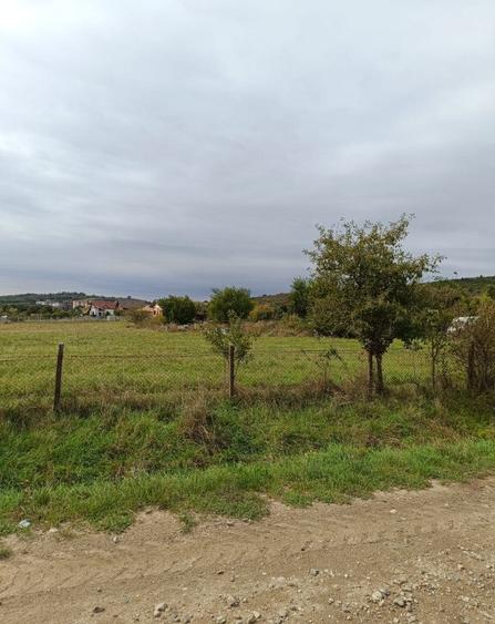 Teren intravilan 8000 mp , DR.D.Vechi - 2