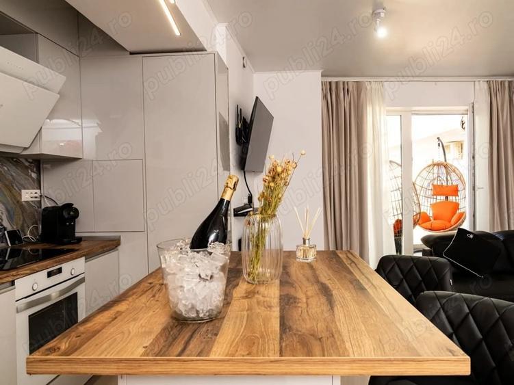 De inchiriat apartament cu 2 camere LUX , Parcul Carol - 3