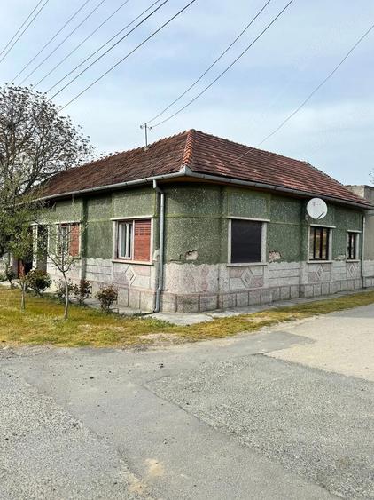 Casa de vanzare,localitatea Criciova, jude?ul Timi?, - 5