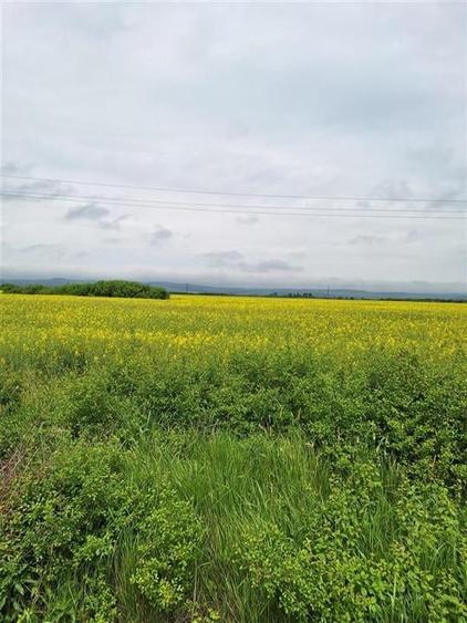 Reco, teren intravila la E60 sacadat - 3