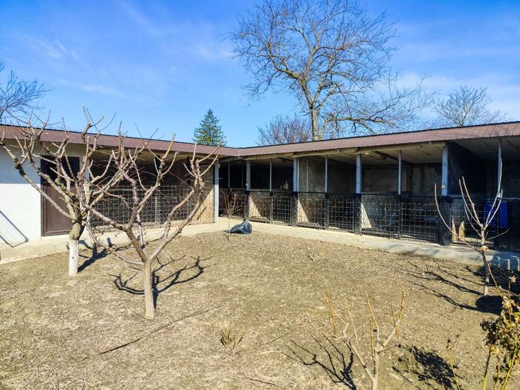 Casa de Vanzare - 4 camere - teren 905mp Mobilata - Utilata - Gropeni - 8