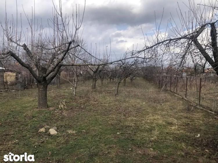 Casa cu imbunatatiri, curte + livada Drajna de Jos / Prahova! - 13