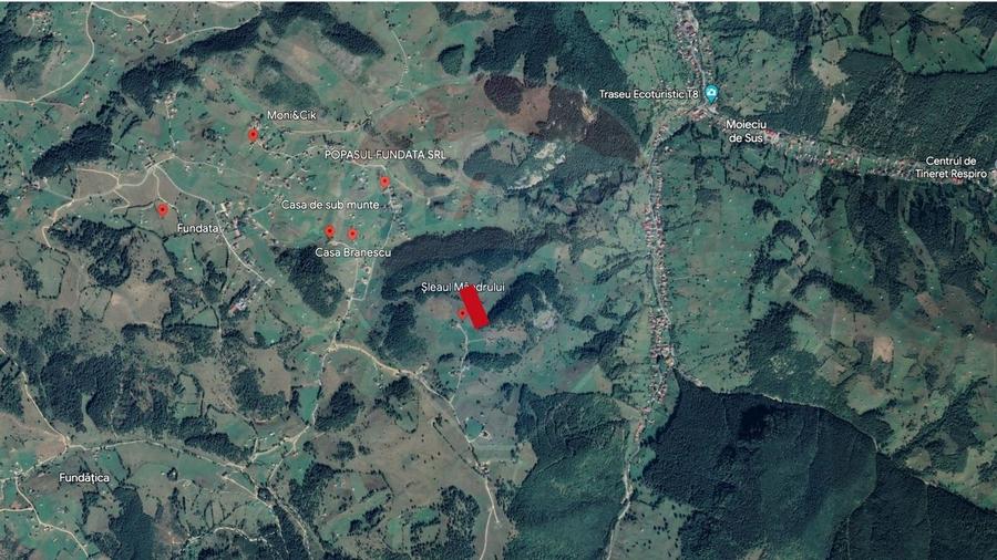 Teren de 7830mp de vanzare in Fundata! Comision 0% - 22