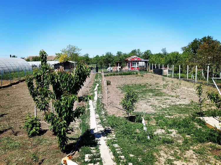 Casa de vanzare - 1