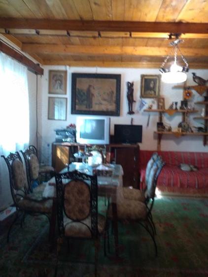 Casa de vacanta izvorul rece balta Mara cabana vanatorului - 5