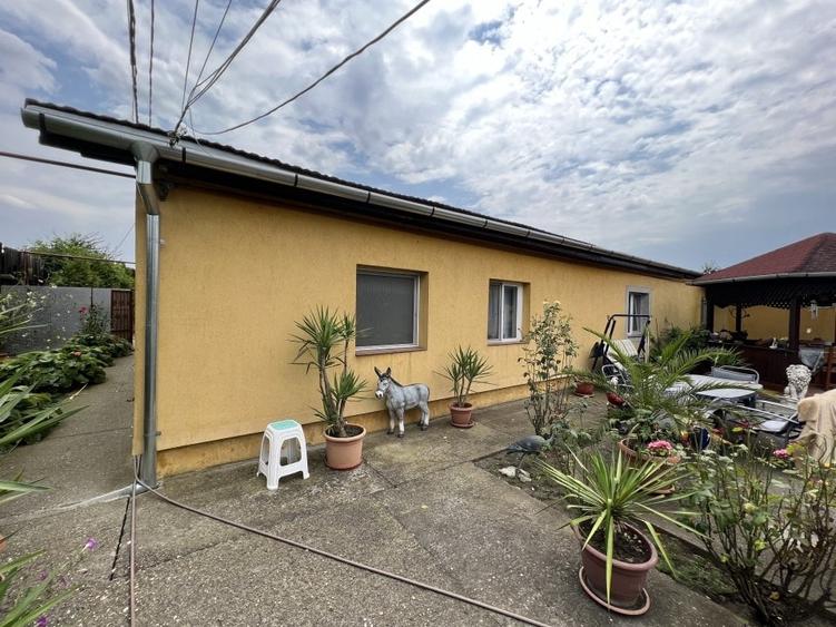 2 case, hala depozitare, teren 3785 mp - 2 F.S. - 22 m, pe malul Begai - 2