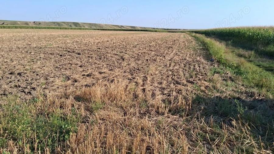 MCD Expert Imobiliare Vanzare teren agricol, Zona Izvoare - 1