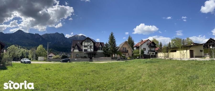Teren 1407 mp Poiana Tapului. Vedere Bucegi .Tripla Deschidere - 7