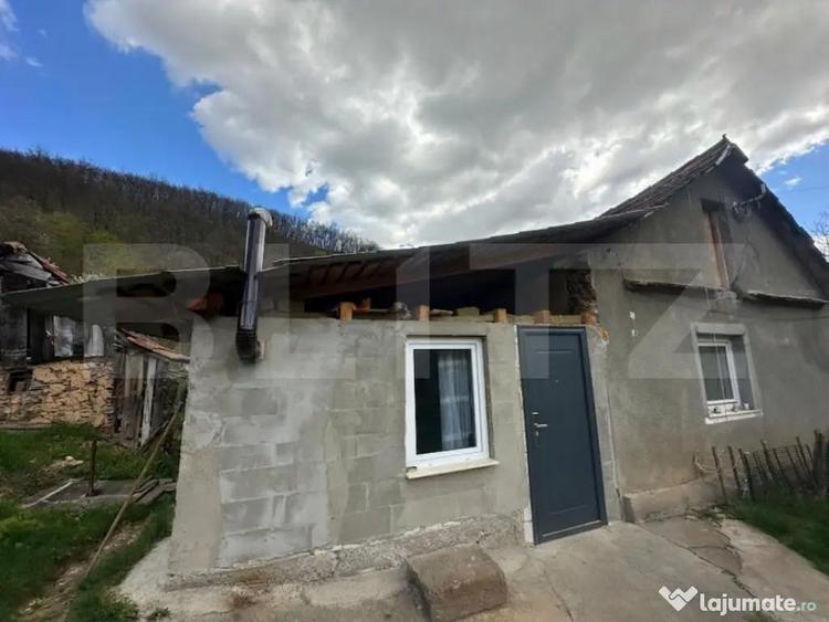 Casa cu 1.2 ha teren, lini?te totala, livada, acces asfa - 9
