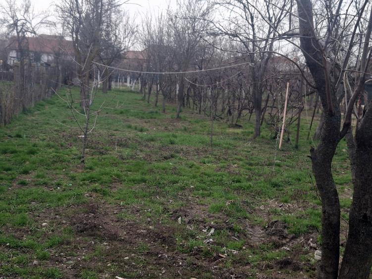 Oportunitate casa de vanzare in Vladimirescu cu 1200 mp teren - 8