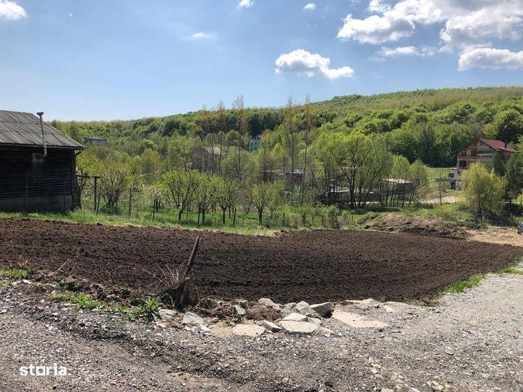Vand teren intravilan Valea Capriorii - 1