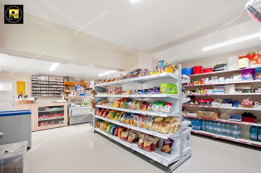 Vanzare Proprietate mixta si Afacere la cheie in Sat Costi, teren 400 mp - 15