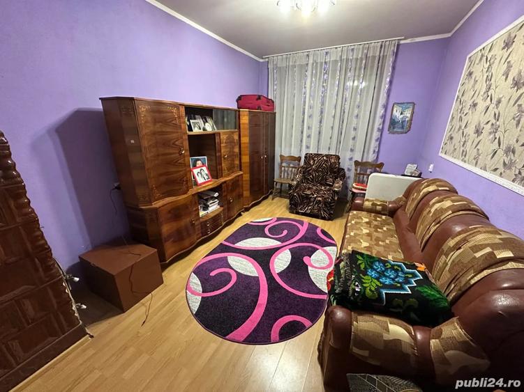 Casa spa?ioasa in Zerve?ti la 5km de Caransebe? ?i 20km de Muntele Mic - 9