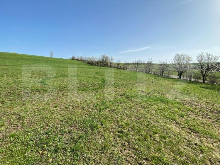 Casa  cu 10000mp de teren in Buza, la 50 km de Cluj-Napoca - 9