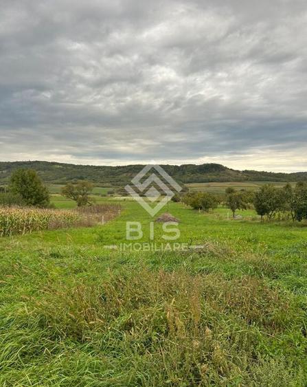 Casa de vanzare in localitatea Sintereag - 17