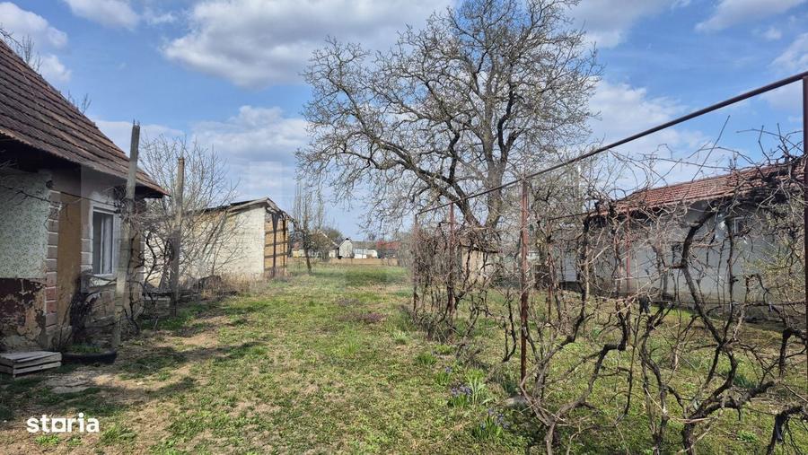 Teren intravilan de vanzare, 1399 mp, in Micula - 9