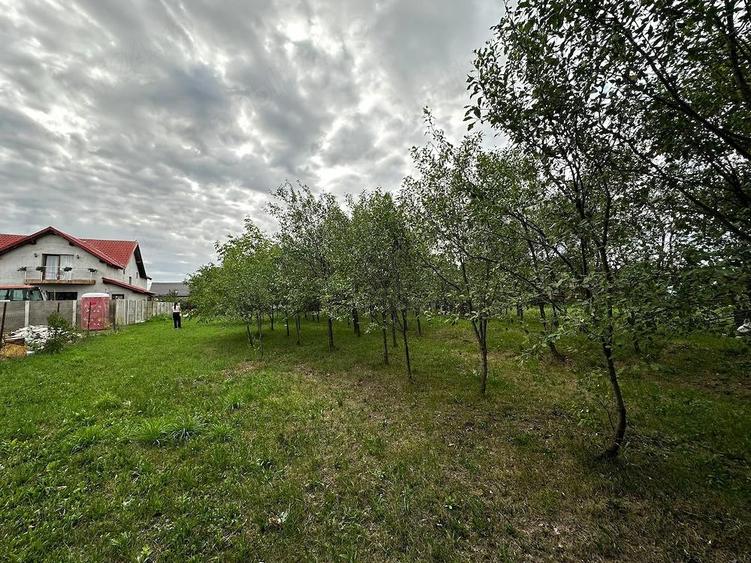 Casa cu teren generos de vanzare in Ianova (Remetea Mare) 129 mp + 1078 mp - 8