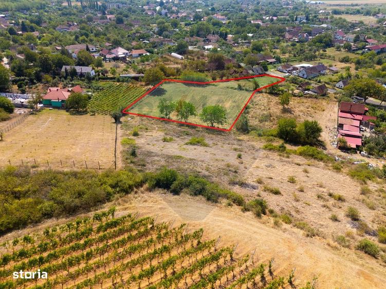 Minis- destinatia ideala pentru o resedinta de lux in inima naturii. - 10