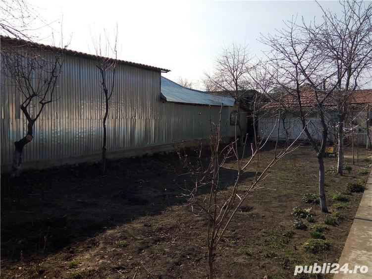 casa de vanzare berezeni - 1