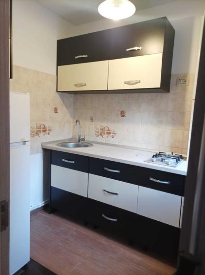 Inchiriere Casa curte Banu Manta , Titulescu - 7