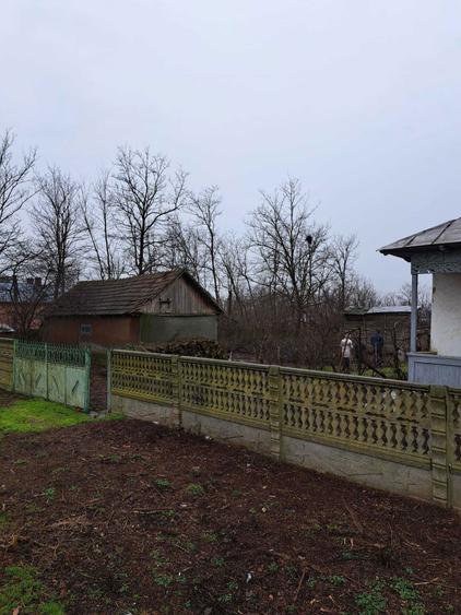 Vand teren + casa batraneasca, Loc. Romanu, jud. Braila - 6