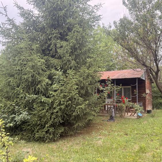 Teren intravilan zona Bercu Rosu - 3