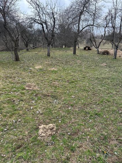 Teren de vanzare - 1