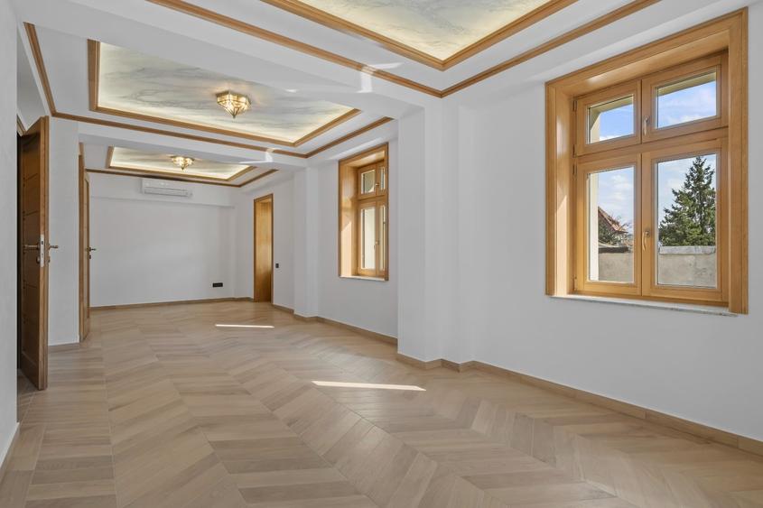 VILA ISTORICA CISMIGIU - COMPLET RENOVATA - 40