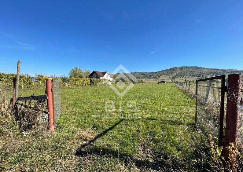 Teren de vanzare extravilan 23 ari - zona Aerodrom - 2