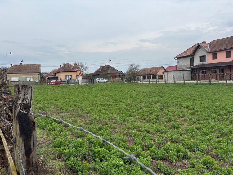 Teren intravilan 1350 mp Iernut Unirii nr.5 - 4